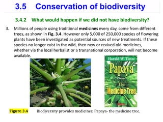 3.4.2 What would happen if we did not have biodiversity?
3. Millions of people using traditional medicines every day, come from different
trees, as shown in Fig. 3.4. However only 5,000 of 250,000 species of flowering
plants have been investigated as potential sources of new treatments. If these
species no longer exist in the wild, then new or revived old medicines,
whether via the local herbalist or a transnational corporation, will not become
available.
Figure 3.4 Biodiversity provides medicines, Papaya- the medicine tree.
3.5 Conservation of biodiversity
 