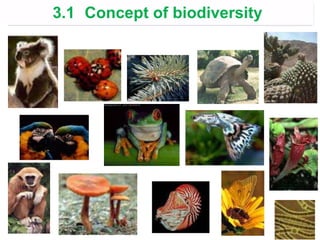 3.1 Concept of biodiversity
 