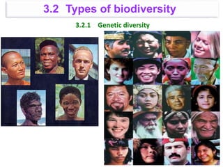 3.2.1 Genetic diversity
3.2 Types of biodiversity
 