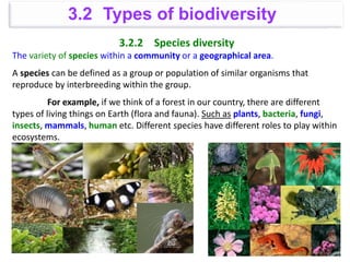 3.2.2 Species diversity
The variety of species within a community or a geographical area.
A species can be defined as a group or population of similar organisms that
reproduce by interbreeding within the group.
For example, if we think of a forest in our country, there are different
types of living things on Earth (flora and fauna). Such as plants, bacteria, fungi,
insects, mammals, human etc. Different species have different roles to play within
ecosystems.
3.2 Types of biodiversity
 