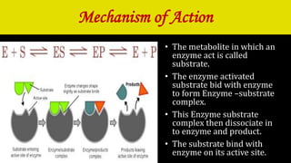 Enzyme mechanism of action & kinetics | PPTX