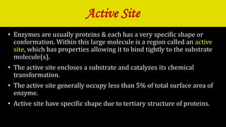 Enzyme mechanism of action & kinetics | PPTX