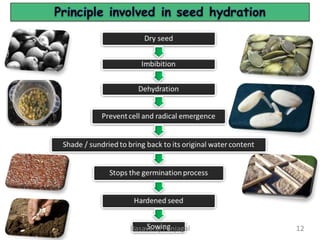 12
Basavaraj Panjagal
 