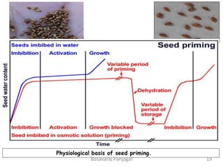 Physiological basis of seed priming.
19
Basavaraj Panjagal
 