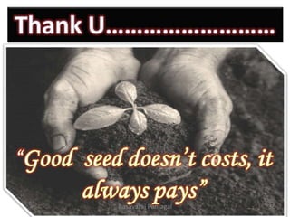 36
Basavaraj Panjagal
 