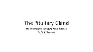 The Pituitary Gland
Themba Hospital FCOG(SA) Part 1 Tutorials
By Dr N.E Manana
 