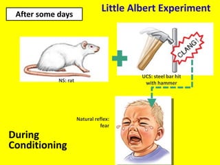 During
Conditioning
NS: rat
UCS: steel bar hit
with hammer
Natural reflex:
fear
Little Albert Experiment
After some days
 