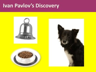 Ivan Pavlov’s Discovery
 