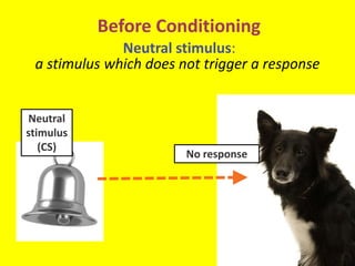 Before Conditioning
No response
Neutral
stimulus
(CS)
Neutral stimulus:
a stimulus which does not trigger a response
 