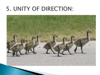 14 Principles of Management by PGP VIVA VVIT | PPT