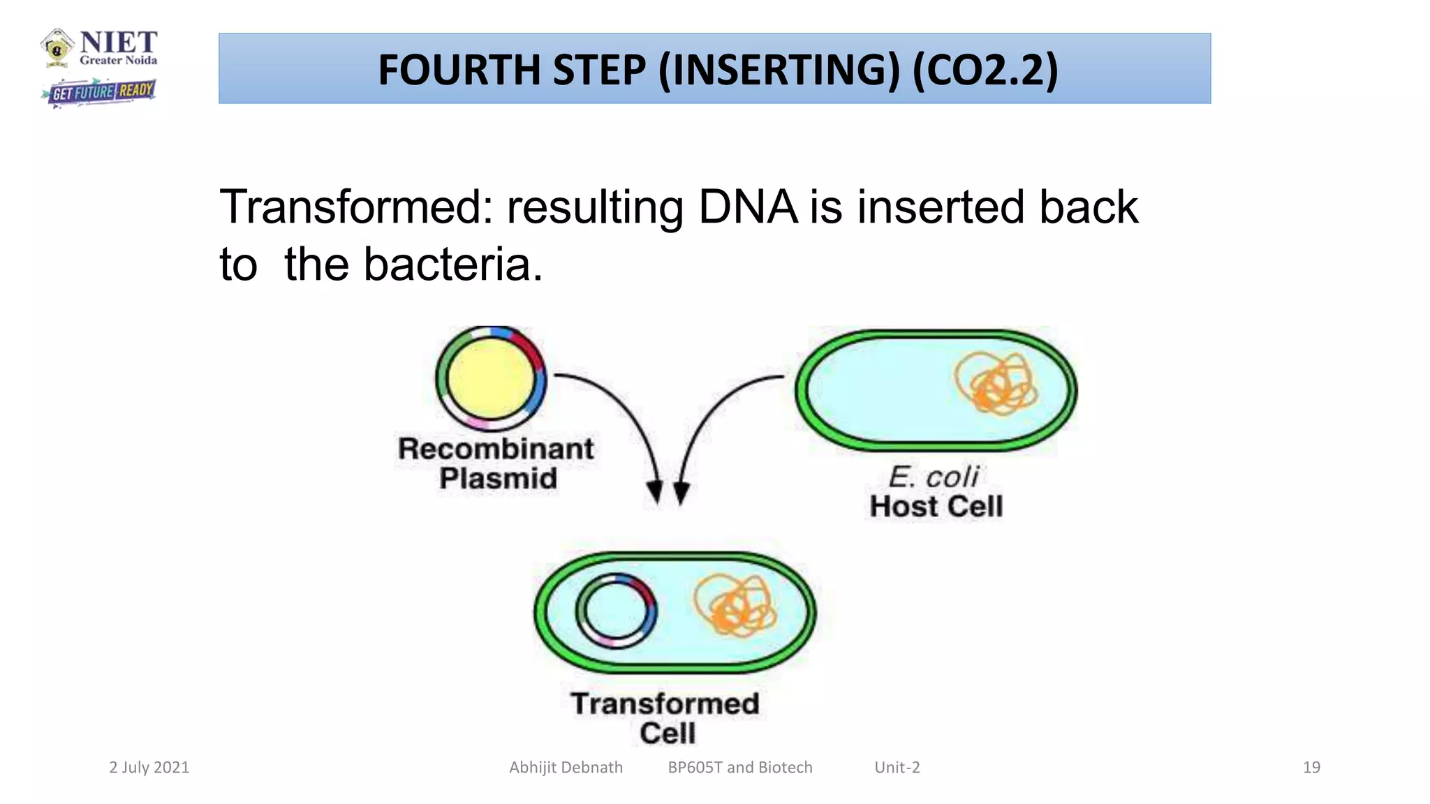 Application of rDNA in the Production of Interferon, Hepatitis Vaccines ...