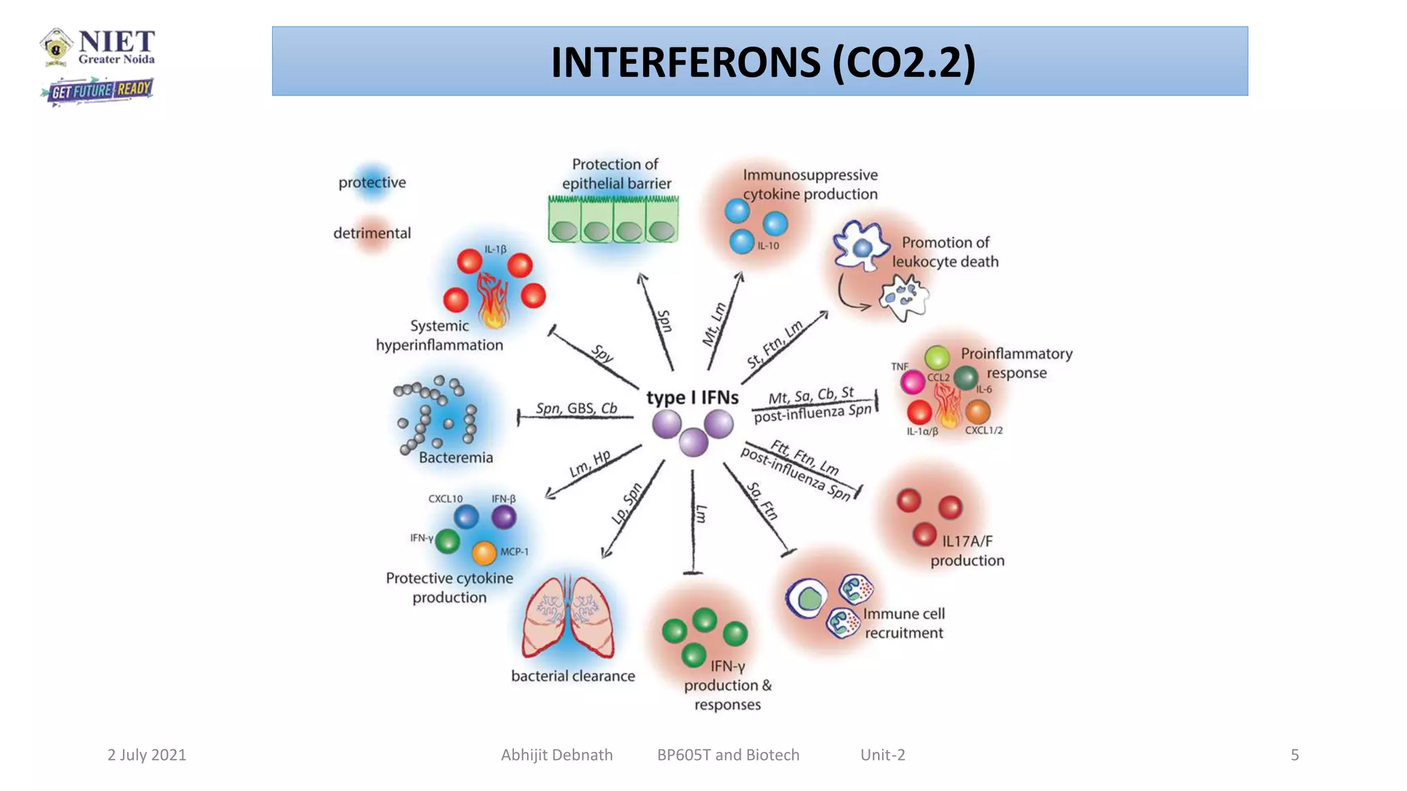 Application of rDNA in the Production of Interferon, Hepatitis Vaccines ...