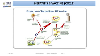 Application of rDNA in the Production of Interferon, Hepatitis Vaccines ...