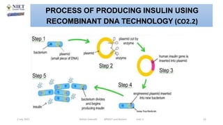 Application of rDNA in the Production of Interferon, Hepatitis Vaccines ...