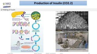 Application of rDNA in the Production of Interferon, Hepatitis Vaccines ...