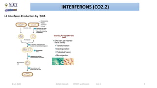 Application of rDNA in the Production of Interferon, Hepatitis Vaccines ...