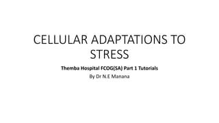 CELLULAR ADAPTATIONS TO
STRESS
Themba Hospital FCOG(SA) Part 1 Tutorials
By Dr N.E Manana
 