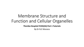 Membrane Structure and
Function and Cellular Organelles
Themba Hospital FCOG(SA) Part 1 Tutorials
By Dr N.E Manana
 