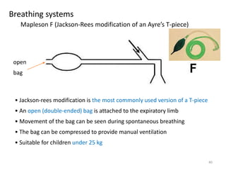 Jackson Rees Pdf 3. breathing system bsc | PPTX