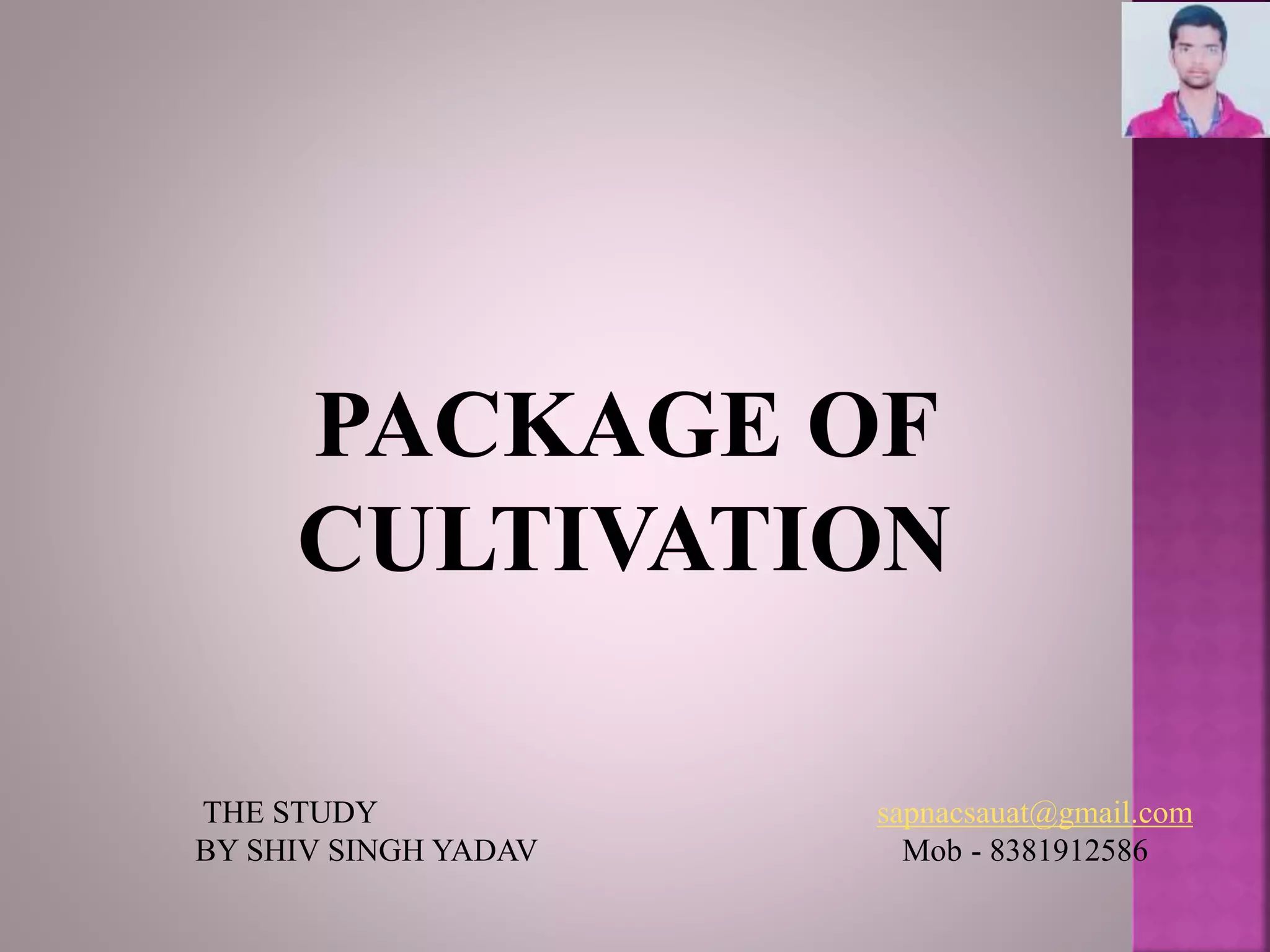 THE STUDY sapnacsauat@gmail.com
BY SHIV SINGH YADAV Mob - 8381912586
 