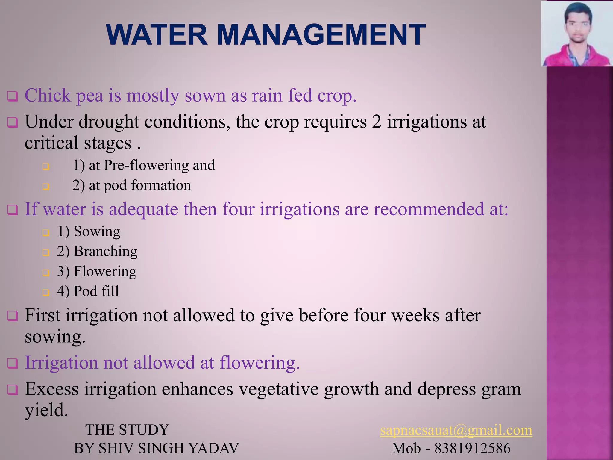  Chick pea is mostly sown as rain fed crop.
 Under drought conditions, the crop requires 2 irrigations at
critical stages .
 1) at Pre-flowering and
 2) at pod formation
 If water is adequate then four irrigations are recommended at:
 1) Sowing
 2) Branching
 3) Flowering
 4) Pod fill
 First irrigation not allowed to give before four weeks after
sowing.
 Irrigation not allowed at flowering.
 Excess irrigation enhances vegetative growth and depress gram
yield.
THE STUDY sapnacsauat@gmail.com
BY SHIV SINGH YADAV Mob - 8381912586
 