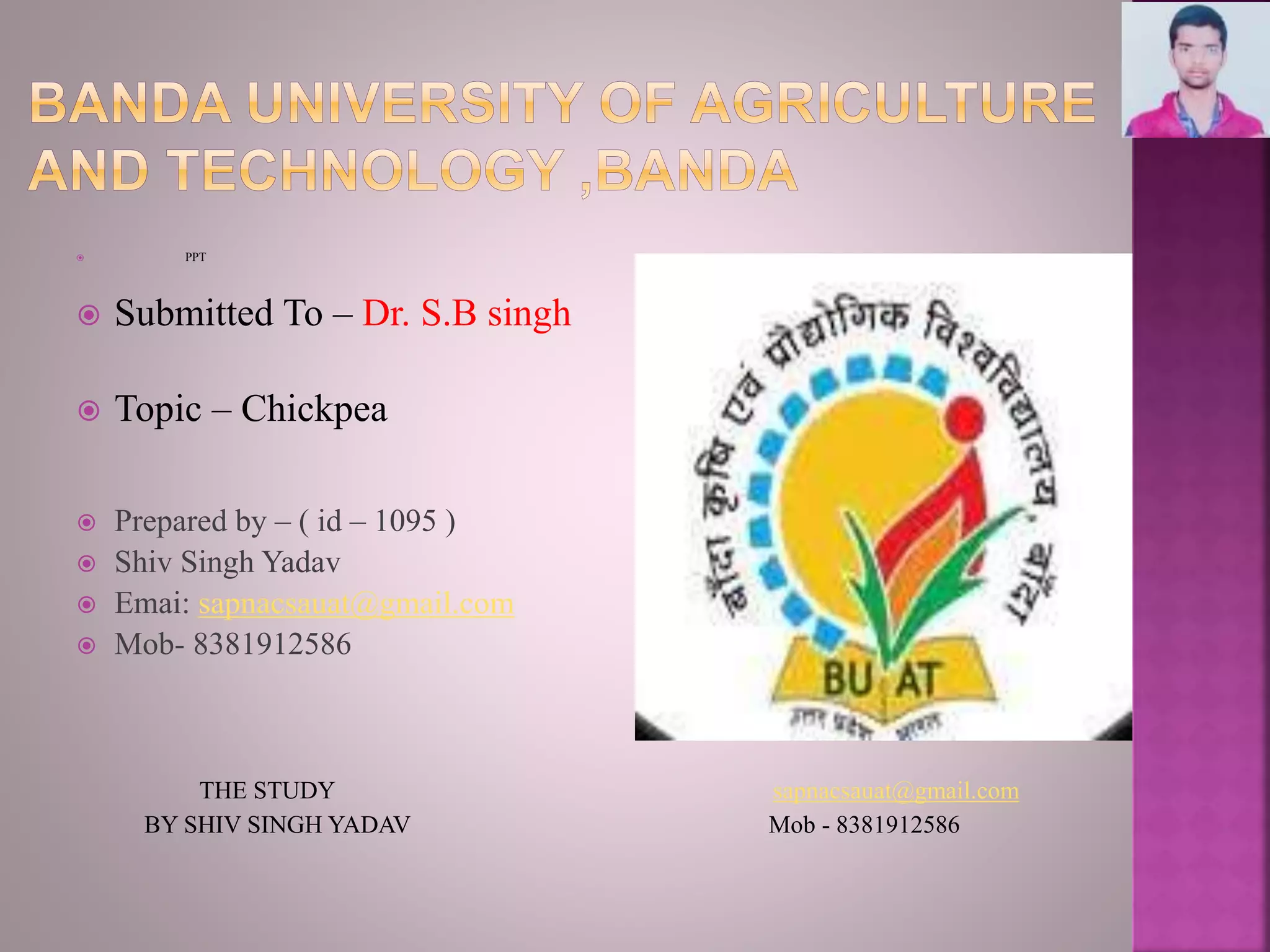  PPT
 Submitted To – Dr. S.B singh
 Topic – Chickpea
 Prepared by – ( id – 1095 )
 Shiv Singh Yadav
 Emai: sapnacsauat@gmail.com
 Mob- 8381912586
THE STUDY sapnacsauat@gmail.com
BY SHIV SINGH YADAV Mob - 8381912586
 