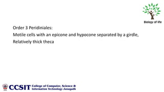 Diatoms, Dinoflagellates, Lichen | PDF