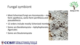 Diatoms, Dinoflagellates, Lichen