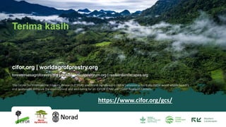 REDD+ and its implementation in Indonesia