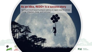 REDD+ and its implementation in Indonesia