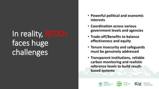 REDD+ and its implementation in Indonesia