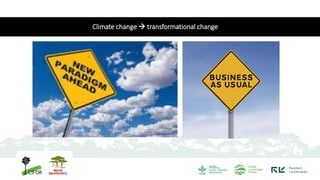 REDD+ and its implementation in Indonesia