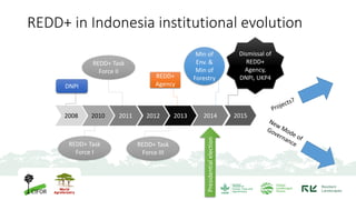 REDD+ and its implementation in Indonesia