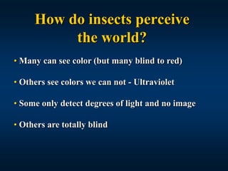 How Insects See Color Insect structure | PPT