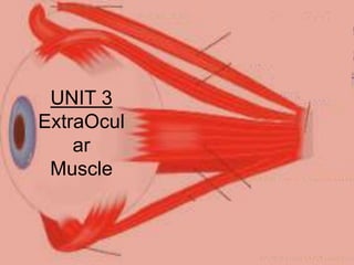 UNIT 3
ExtraOcul
ar
Muscle
 
