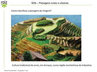 Novas Coordenadas 7 / Geografia, 7º ano
M3b – Paisagens rurais e urbanas
Como classificas a paisagem da imagem?
Cultura tradicional do arroz, em terraços, numa região montanhosa da Indonésia.
 