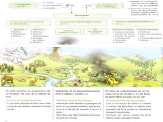 3.geografia e as paaisagens 1