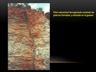 Filón subvertical ferruginizado cortando las
pizarras lixiviadas y entrando en el gossan
 