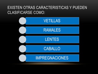 EXISTEN OTRAS CARACTERISTICAS Y PUEDEN
CLASIFICARSE COMO:
VETILLAS
RAMALES
LENTES
CABALLO
IMPREGNACIONES
 
