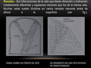 Ramales.- Son bifurcaciones de la veta que tienen dirección o inclinación
notablemente diferentes y espesores menores que los de la misma veta.
Muchas vetas suelen dividirse en varios ramales menores antes de
aflorar a la superficie (ver fig.).
RAMAL SOBRE UN FRENTE DE VETA AFLORAMIENTO DE UNA VETA DIVIDIDA
EN VARIOS RAMALES
 