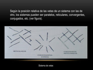 Según la posición relativa de las vetas de un sistema con las de
otro, los sistemas pueden ser paralelos, reticulares, convergentes,
conjugados, etc. (ver figura).
Sistema de vetas
 