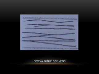 SISTEMA PARALELO DE VETAS
 