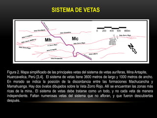 SISTEMA DE VETAS
Figura 2. Mapa simplificado de las principales vetas del sistema de vetas auríferas, Mina Antapite,
Huancavelica, Perú [3,4]. El sistema de vetas tiene 3600 metros de largo y 1000 metros de ancho.
En morado se indica la posición de la discordancia entre las formaciones Machucancha y
Mamahuanga. Hay dos óvalos dibujados sobre la Veta Zorro Rojo. Allí se encuentran las zonas más
ricas de la mina.. El sistema de vetas debe tratarse como un todo, y no cada veta de manera
independiente. Faltan numerosas vetas del sistema que no afloran, y que fueron descubiertas
después.
 