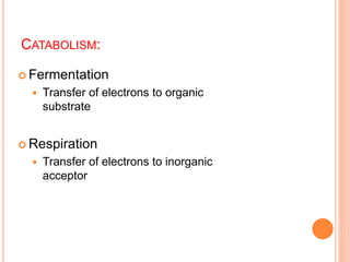 CATABOLISM:
 Fermentation
 Transfer of electrons to organic
substrate
 Respiration
 Transfer of electrons to inorganic
acceptor
 