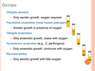 OXYGEN
Obligate aerobes
 Only aerobic growth, oxygen required
Facultative anaerobes (most human pathogens)
 Greater growth in presence of oxygen
Obligate anaerobes
 Only anaerobic growth, cease with oxygen
Aerotolerant anaerobes (e.g., C. perfringens)
 Only anaerobic growth, continues with oxygen
Microaerophiles
 Only aerobic growth with little oxygen
 