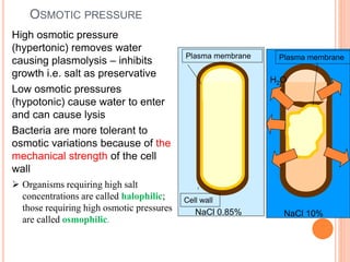OSMOTIC PRESSURE
High osmotic pressure
(hypertonic) removes water
causing plasmolysis – inhibits
growth i.e. salt as preservative
Low osmotic pressures
(hypotonic) cause water to enter
and can cause lysis
Bacteria are more tolerant to
osmotic variations because of the
mechanical strength of the cell
wall
 Organisms requiring high salt
concentrations are called halophilic;
those requiring high osmotic pressures
are called osmophilic.
NaCl 0.85% NaCl 10%
H2O
Plasma membrane
Plasma membrane
Cell wall
 
