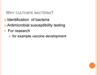 WHY CULTIVATE BACTERIA?
 Identification of bacteria
 Antimicrobial susceptibility testing
 For research
 for example vaccine development
 