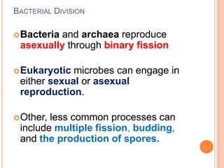 BACTERIAL DIVISION
Bacteria and archaea reproduce
asexually through binary fission
Eukaryotic microbes can engage in
either sexual or asexual
reproduction.
Other, less common processes can
include multiple fission, budding,
and the production of spores.
 