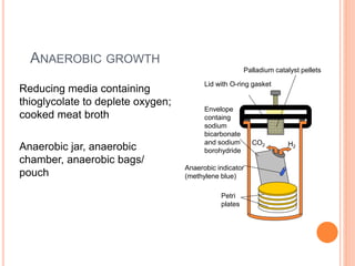 ANAEROBIC GROWTH
Reducing media containing
thioglycolate to deplete oxygen;
cooked meat broth
Anaerobic jar, anaerobic
chamber, anaerobic bags/
pouch
Petri
plates
Anaerobic indicator
(methylene blue)
CO2 H2
Envelope
containg
sodium
bicarbonate
and sodium
borohydride
Lid with O-ring gasket
Palladium catalyst pellets
 