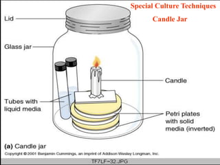 56
Special Culture Techniques
Candle Jar
 